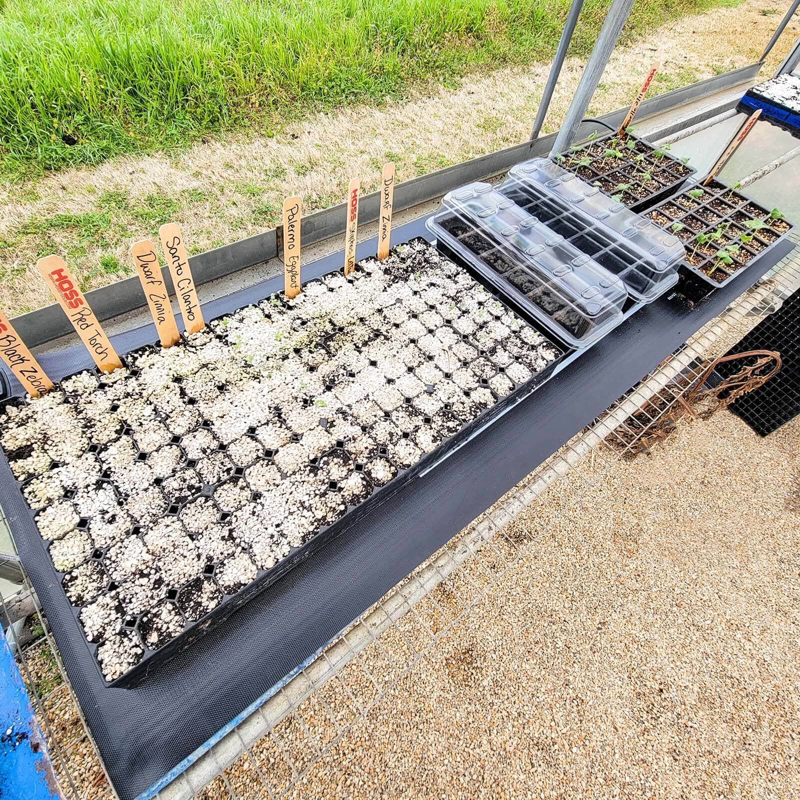 Hoss Germination Mat (150 Watt) - Image 2