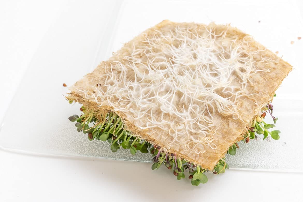 5x5 Grow Mats - Image 6