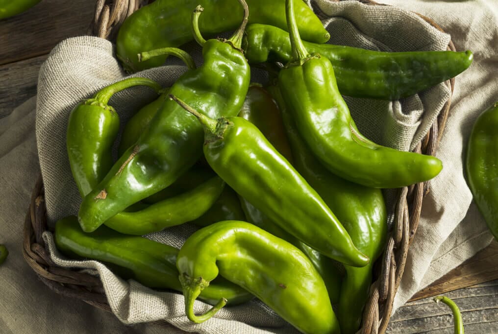 Anaheim Pepper