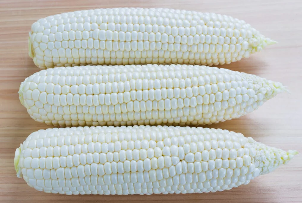 Argent Hybrid Sweet Corn F1