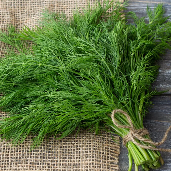 Bouquet Dill