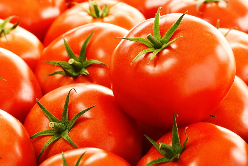 Boxcar Willie Tomato