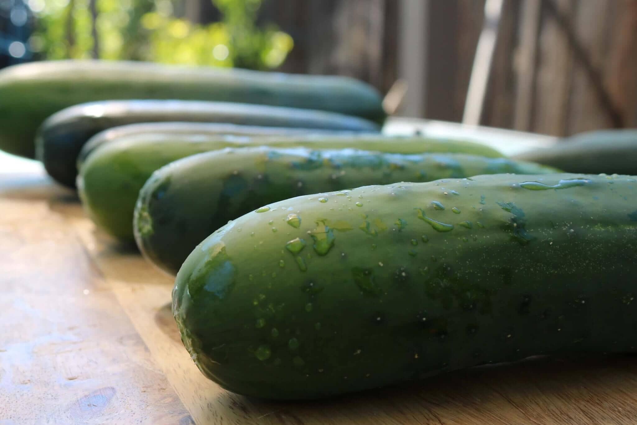 Burpless Supreme Hybrid Cucumber F1