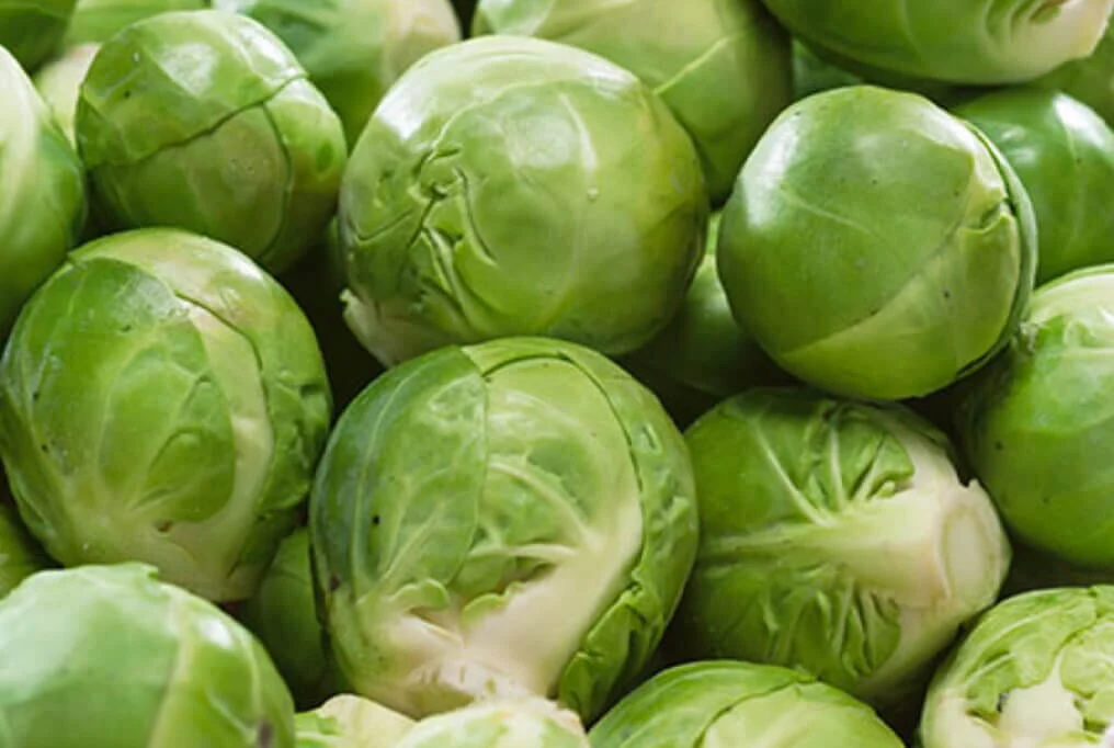 Catskill Brussels Sprouts