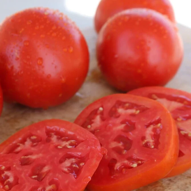 Celebrity Plus Hybrid Tomato F1