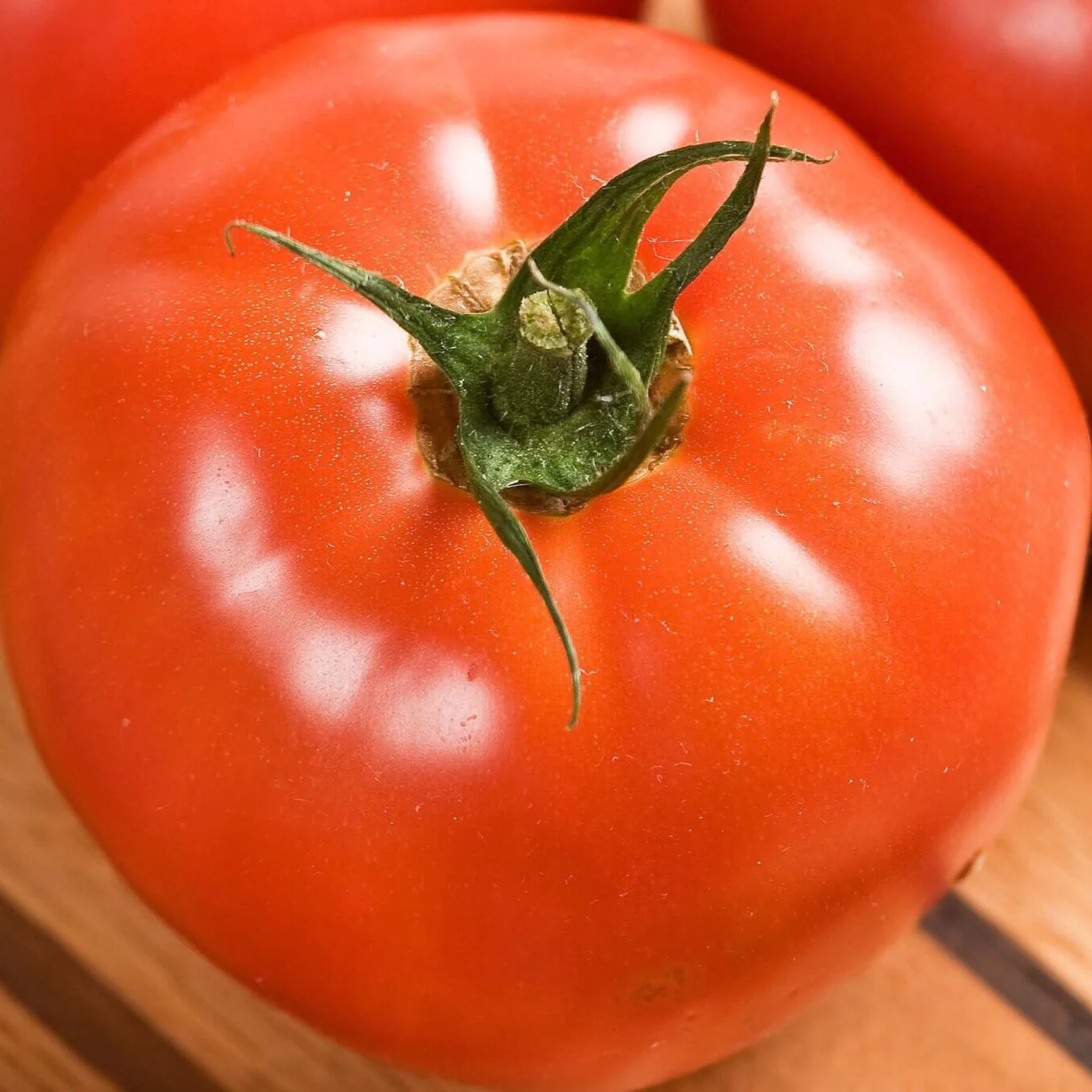 Celebrity Plus Hybrid Tomato F1 - Image 3