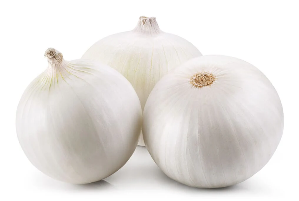 Cirrus Hybrid Onion F1