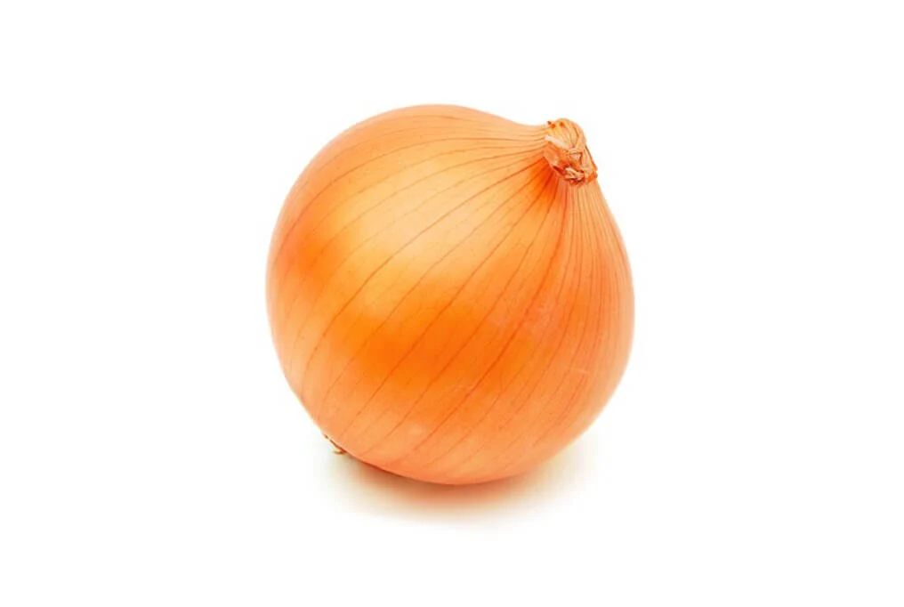 Cougar Hybrid Onion F1