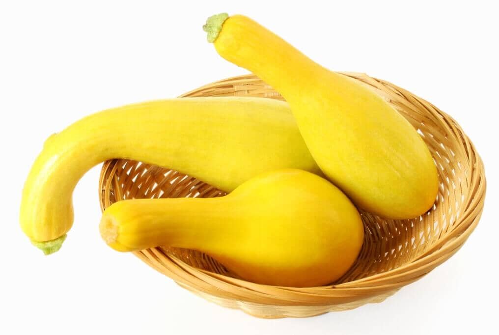 Delta Hybrid Squash F1