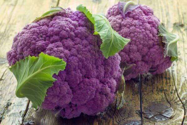 DePurple Hybrid Cauliflower F1