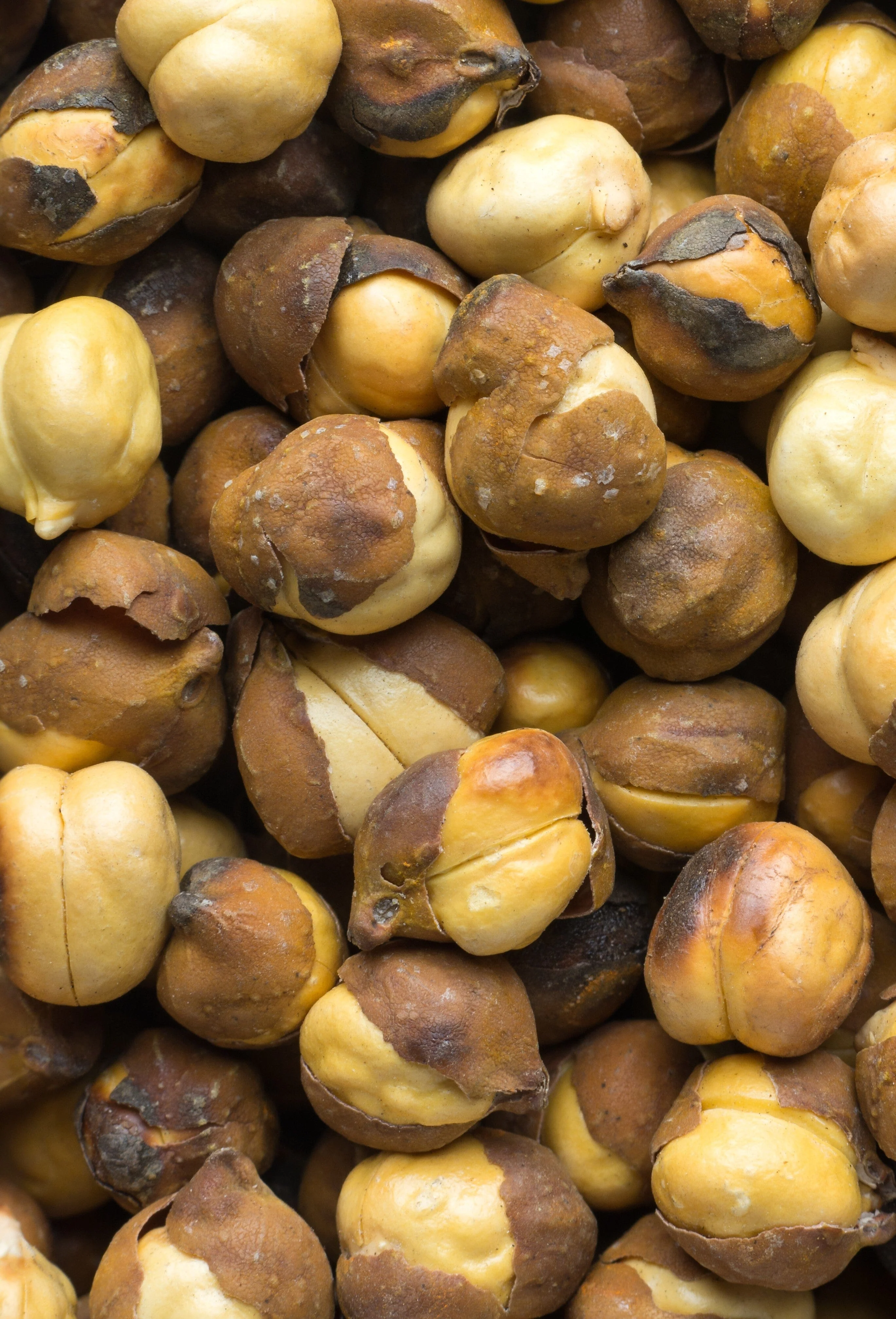 Desi Chickpea - Image 2