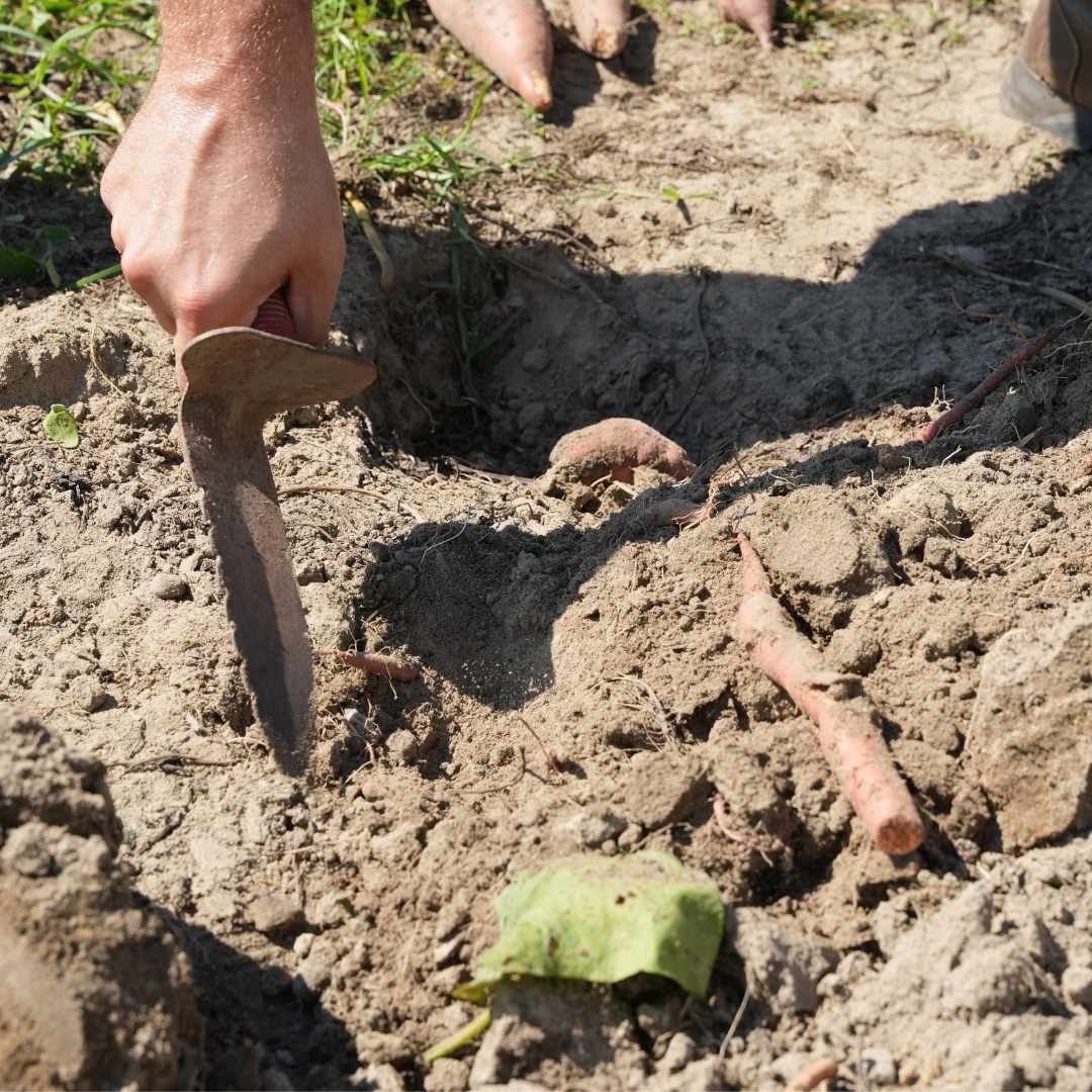 Digging Tool - Image 3