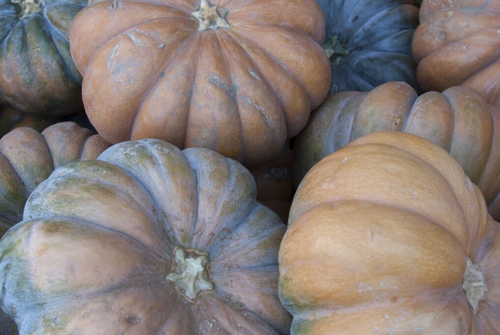 Fairytale Pumpkin