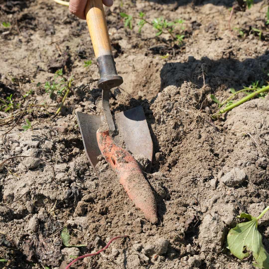Hand Shovel - Image 2