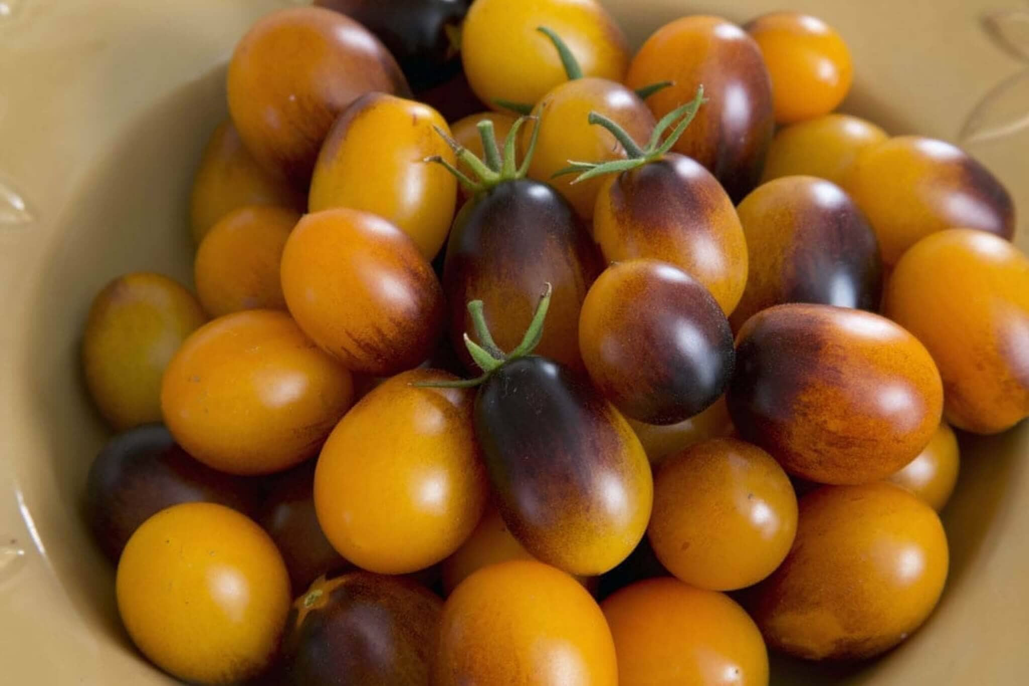 Indigo Sun Hybrid Cherry Tomato F1