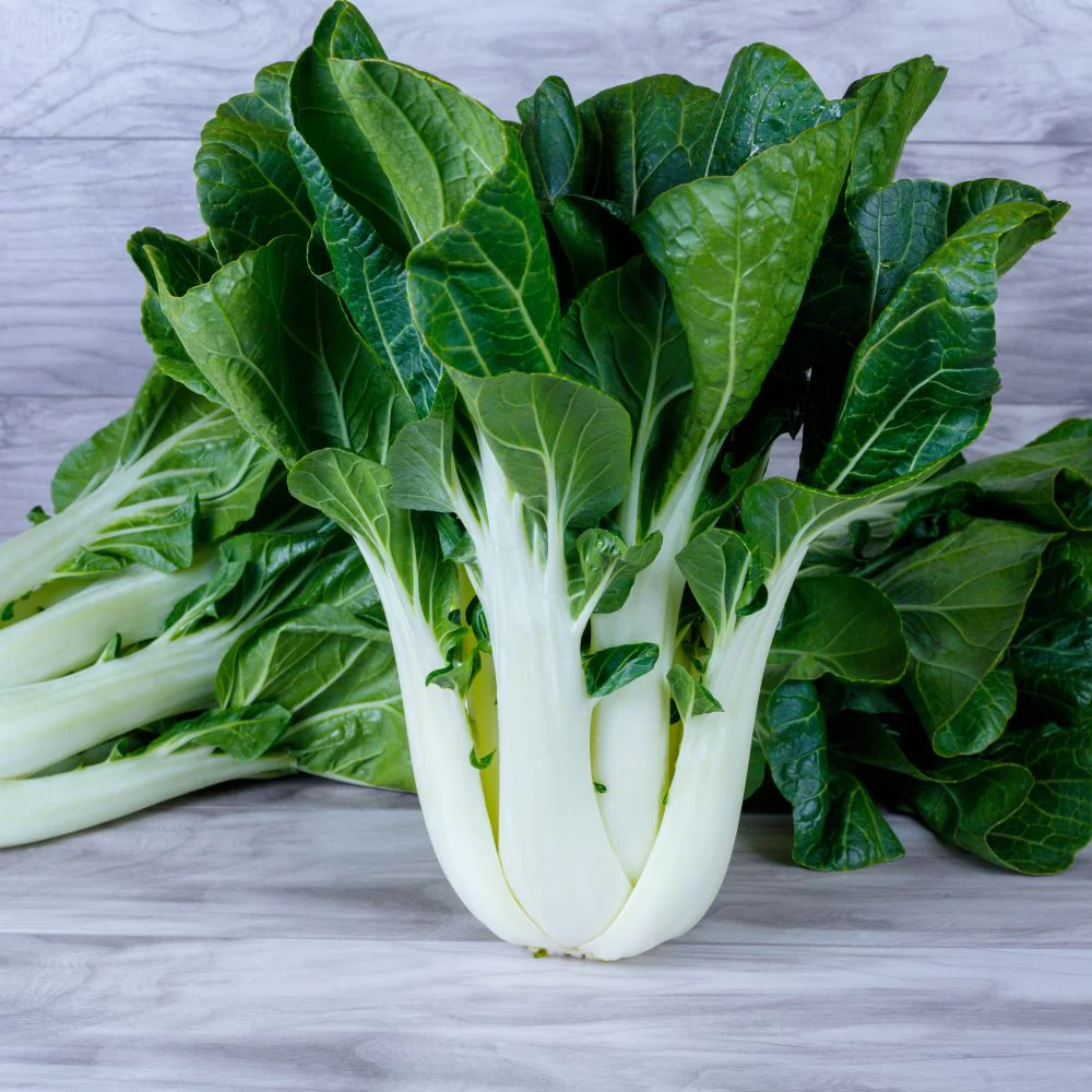 King Choi Cabbage