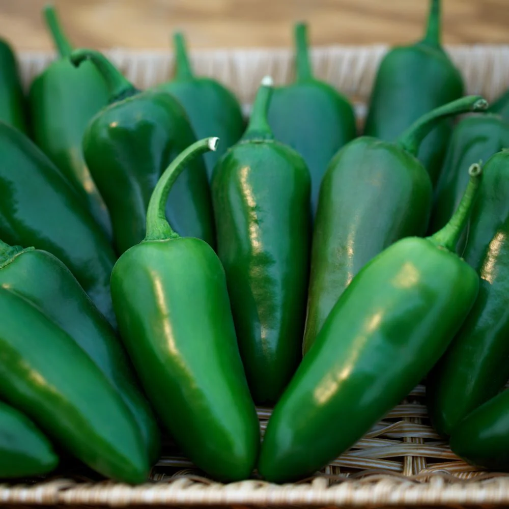 Megatron Hybrid Jalapeno Pepper F1 - Image 3