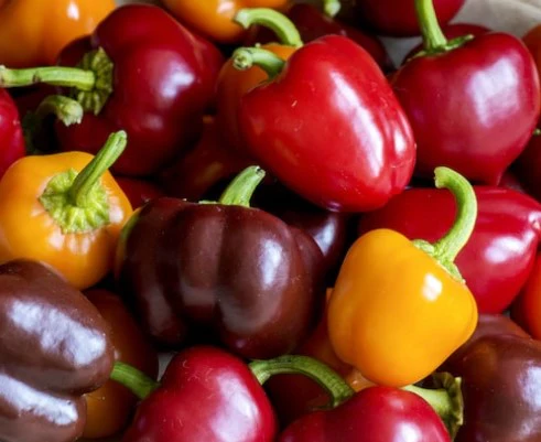 Mini Bell Pepper Mix