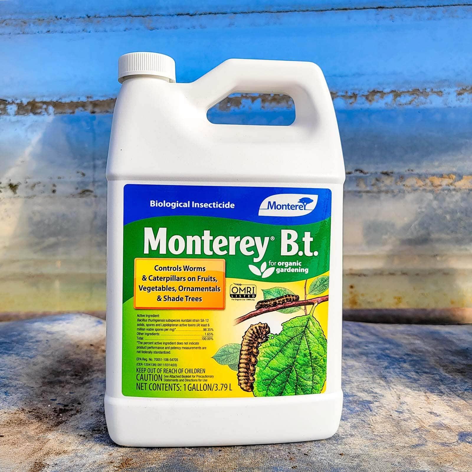 Monterey Bt