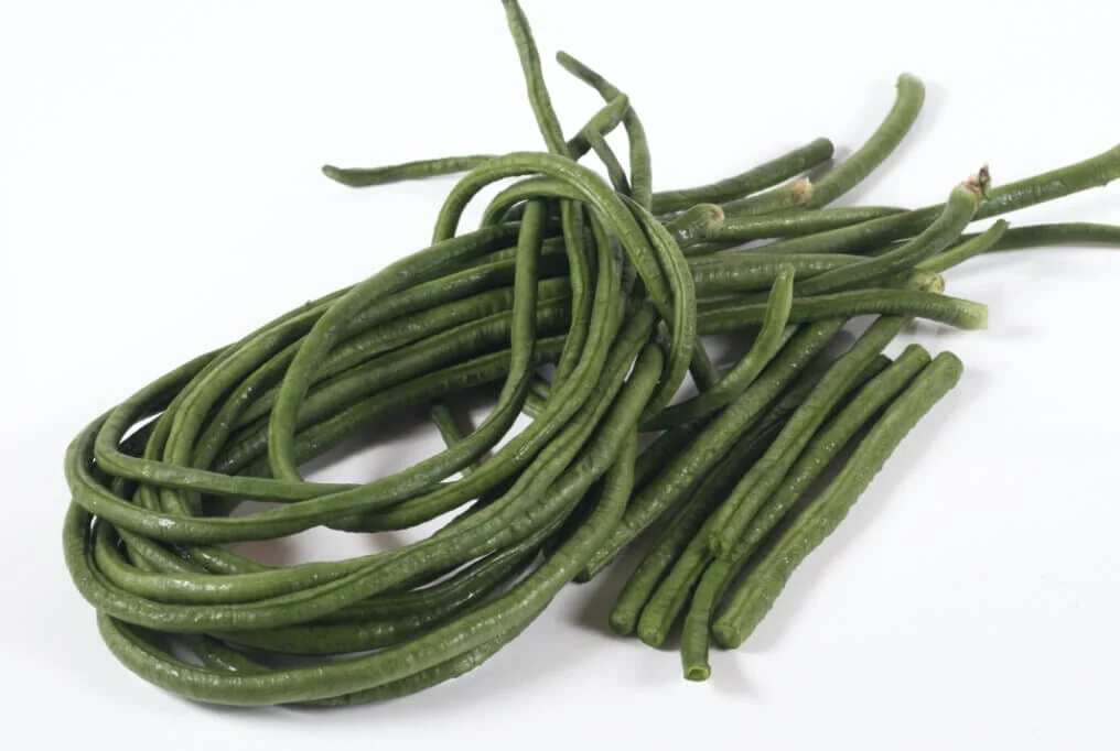 Orient Wonder Pole Bean