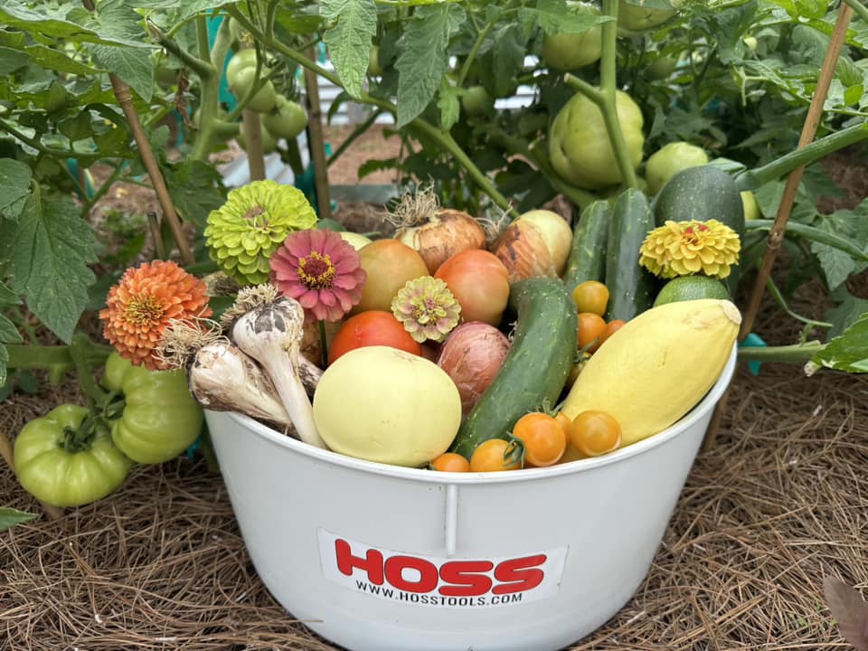 Over-the-Shoulder Harvesting Bucket - Image 2
