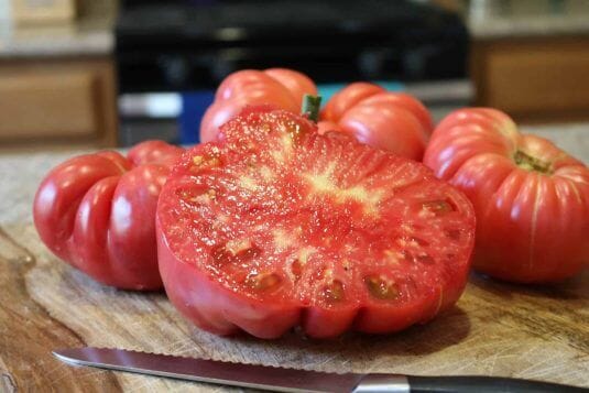 Pink Delicious Hybrid Tomato F1 - Image 2
