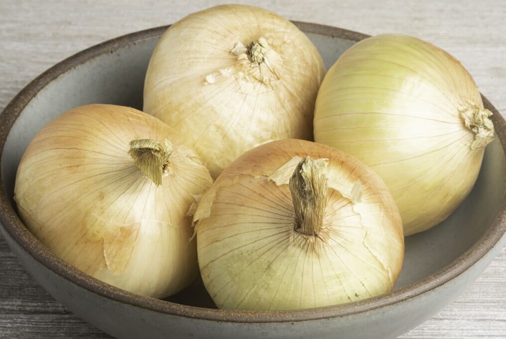 Plethora Hybrid Onion F1