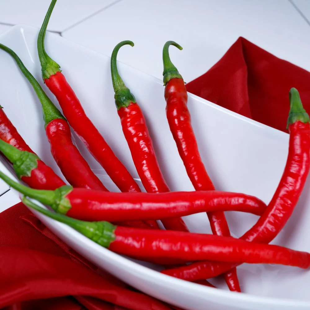 Rajah Cayenne Hybrid Pepper F1