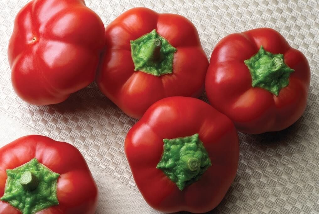 Right on Red Hybrid Pepper F1