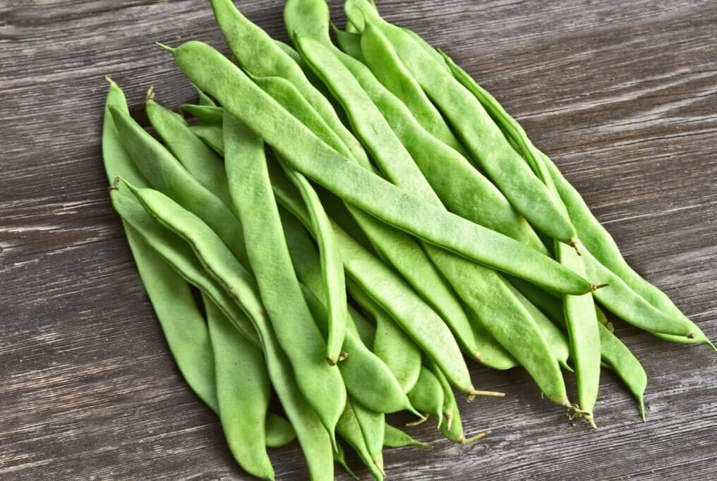 Roma II Bush Bean