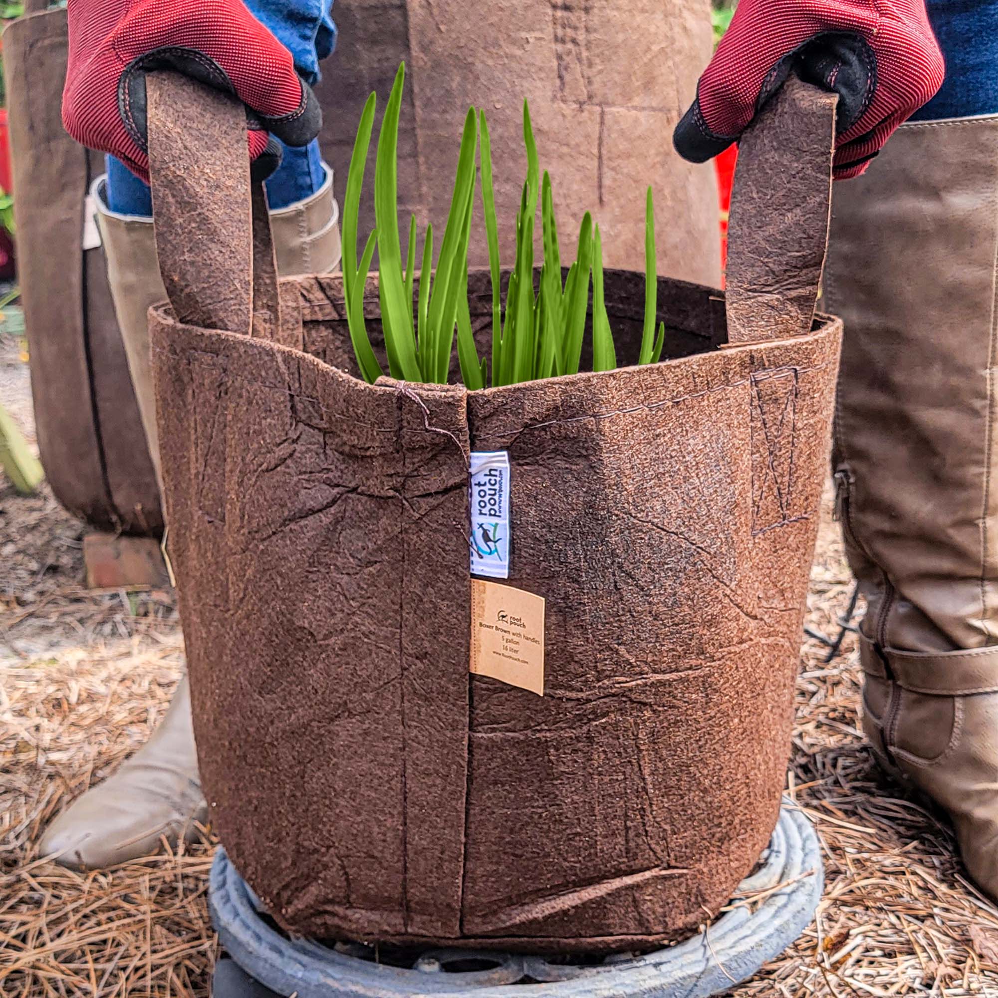 Root Pouch - 5 Gallon