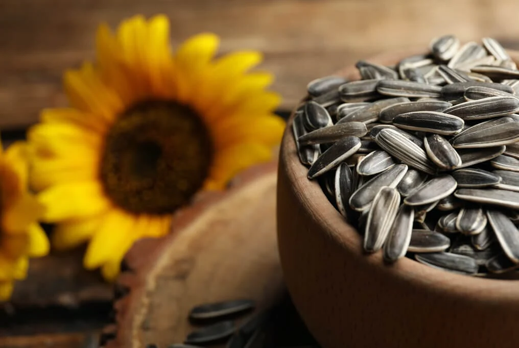 Salt N' Roast Sunflower
