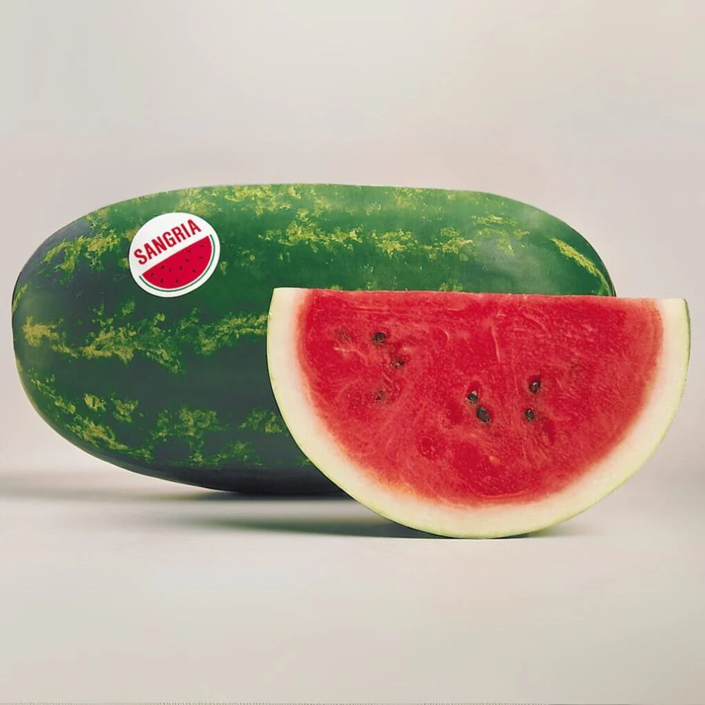 Sangria Hybrid Watermelon F1
