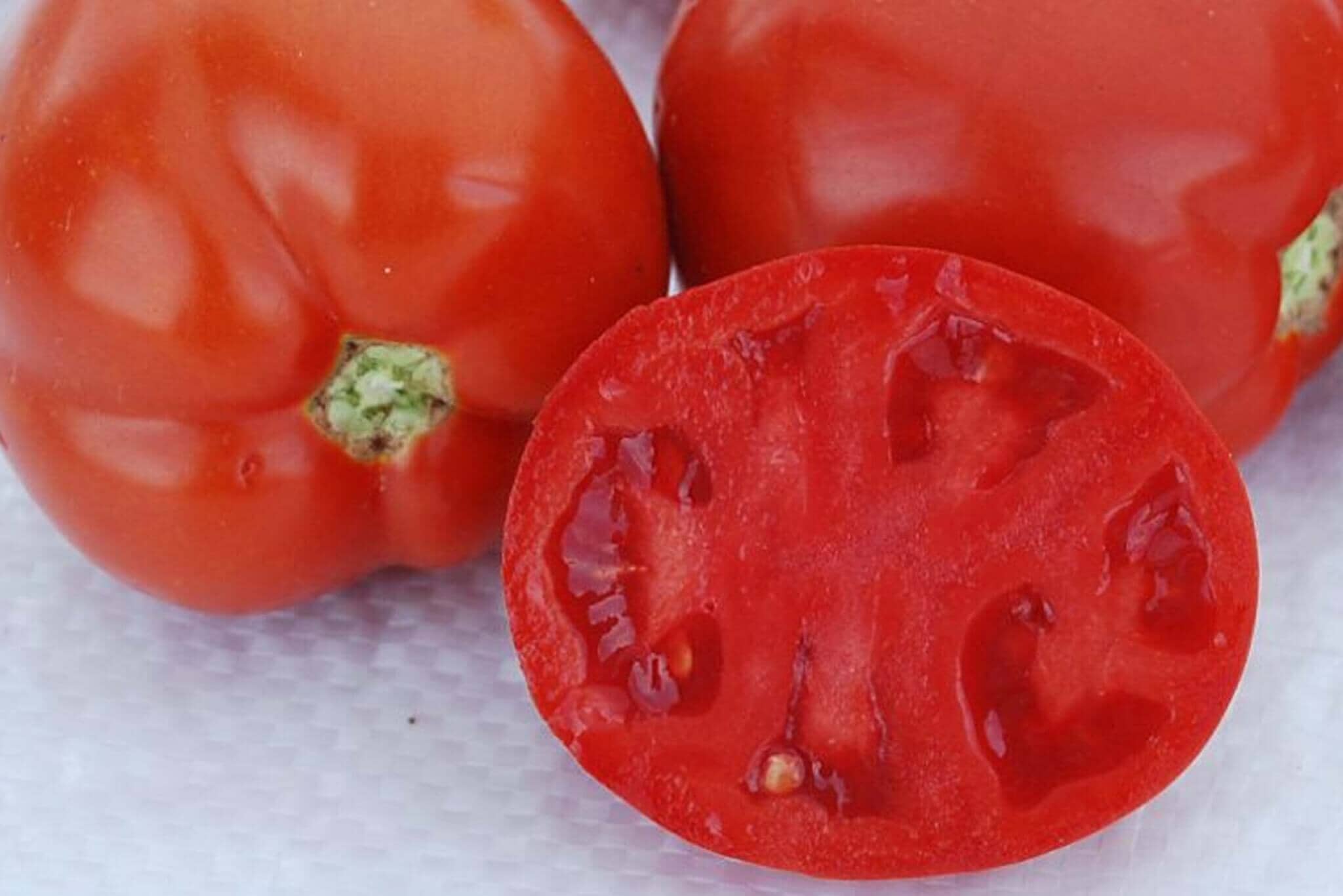 Saucy Lady Tomato