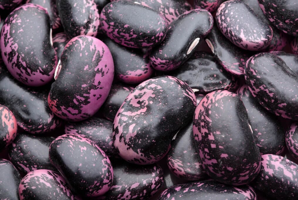 Scarlet Emperor Runner Beans