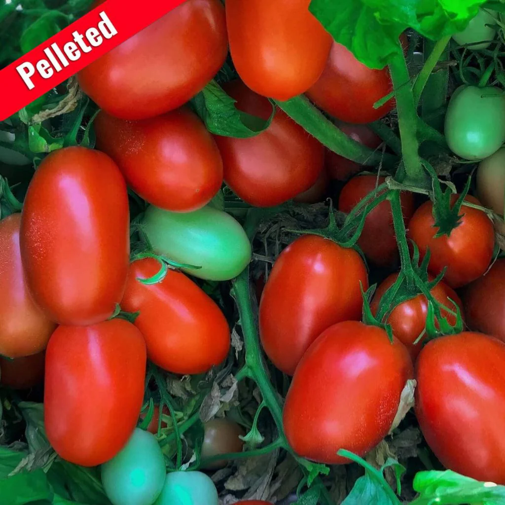 Shelby (STM2117) Hybrid Tomato F1