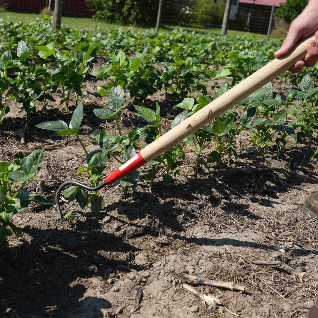 Short Single Tine Cultivator - Image 3