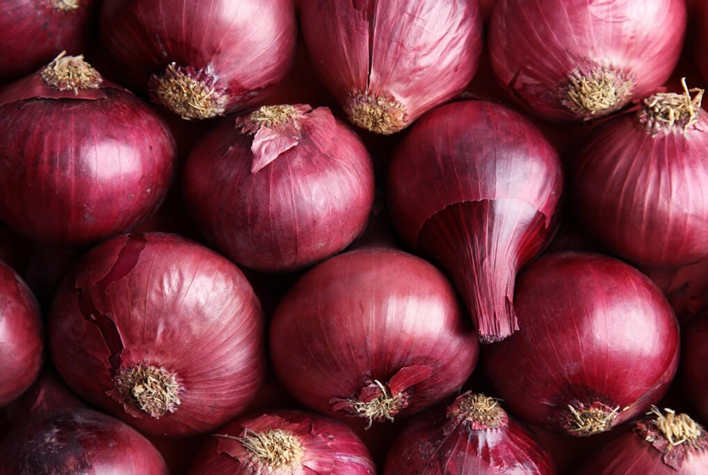 Sofire Hybrid Onion F1