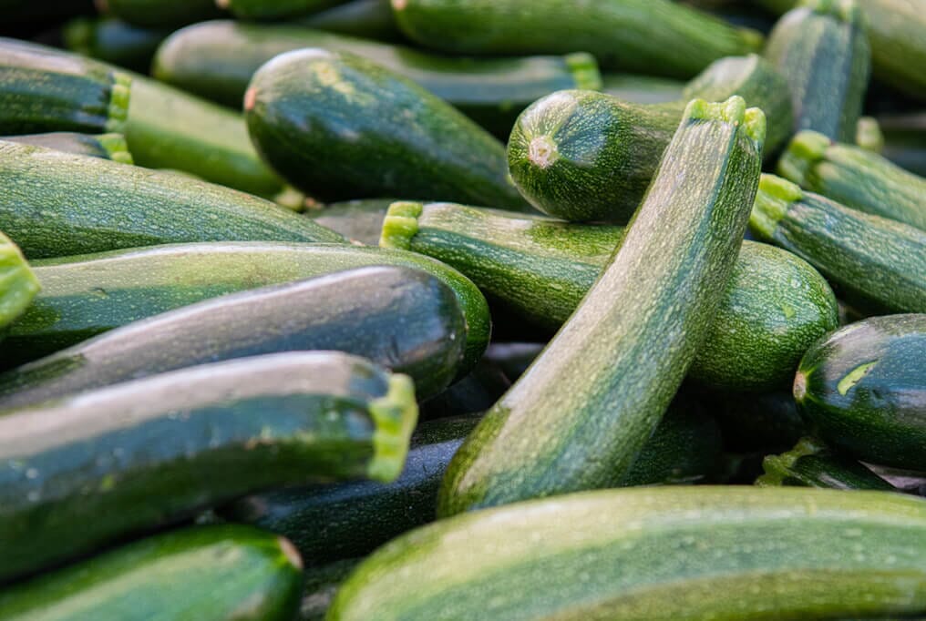 Spineless Beauty Hybrid Zucchini F1