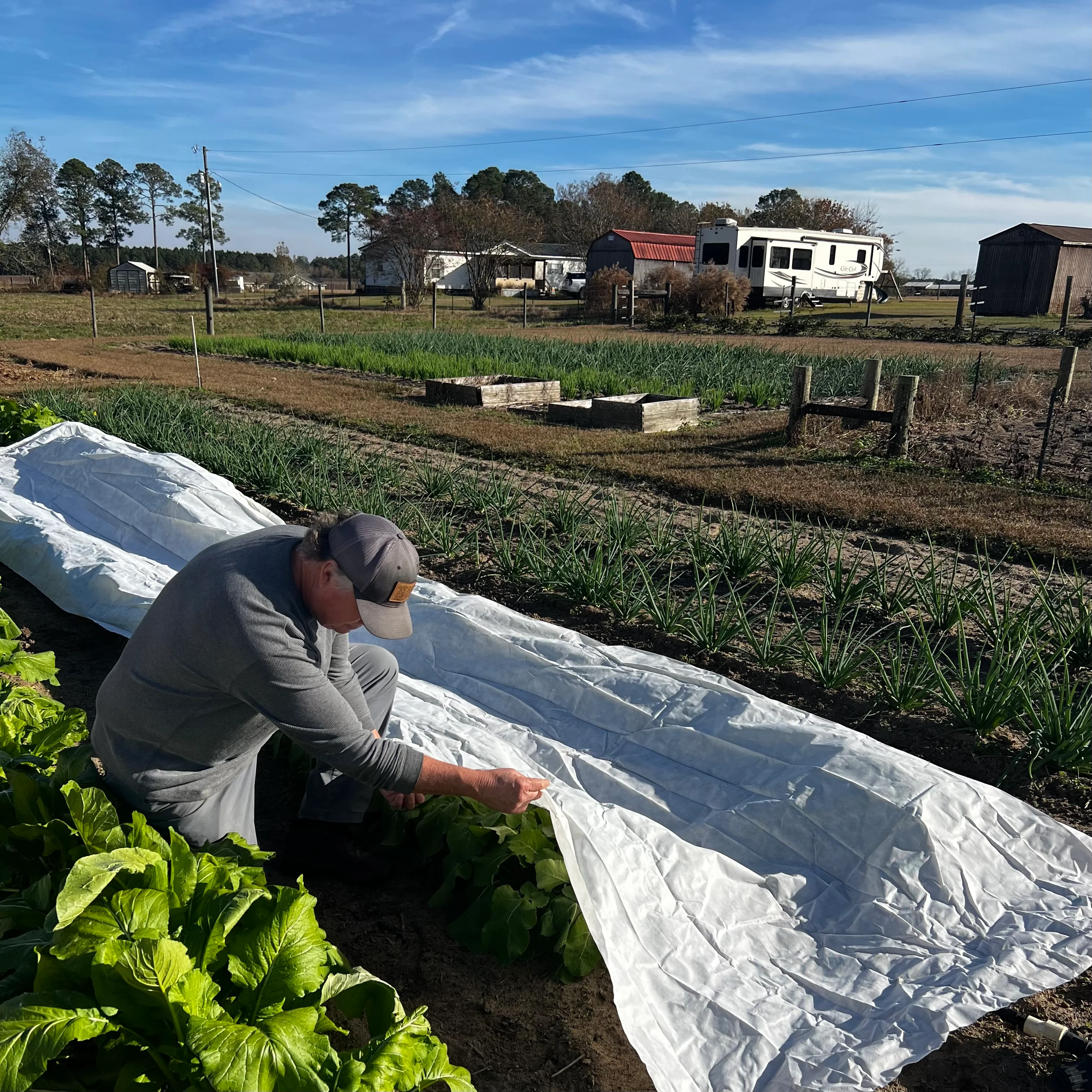Supreme Plant Protection Cover