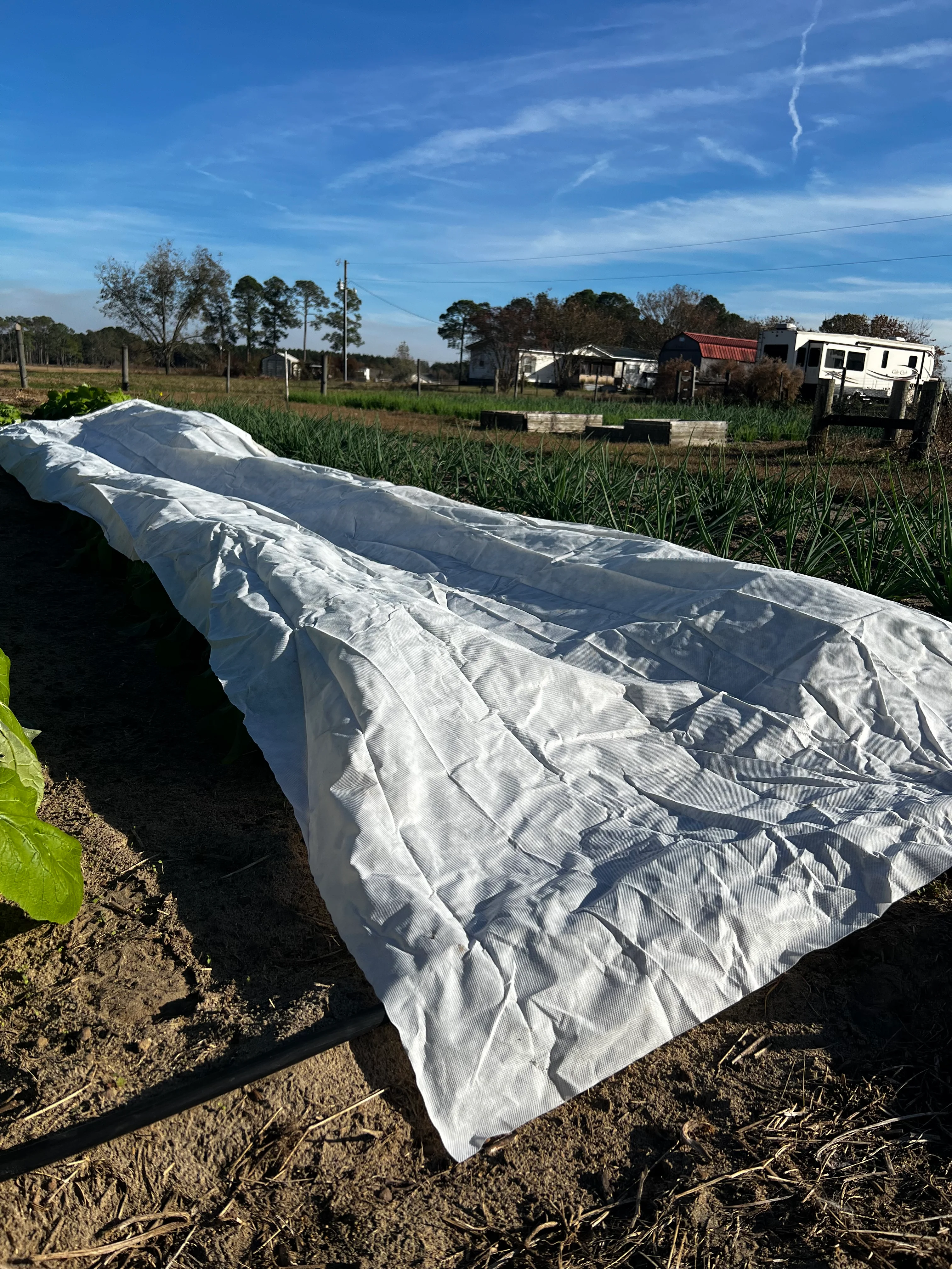 Supreme Plant Protection Cover - Image 2