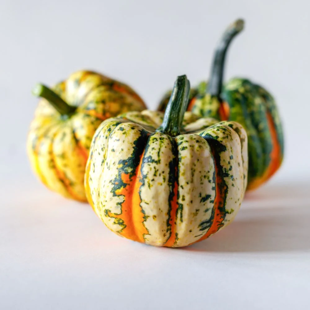 Thriller Hybrid Squash F1