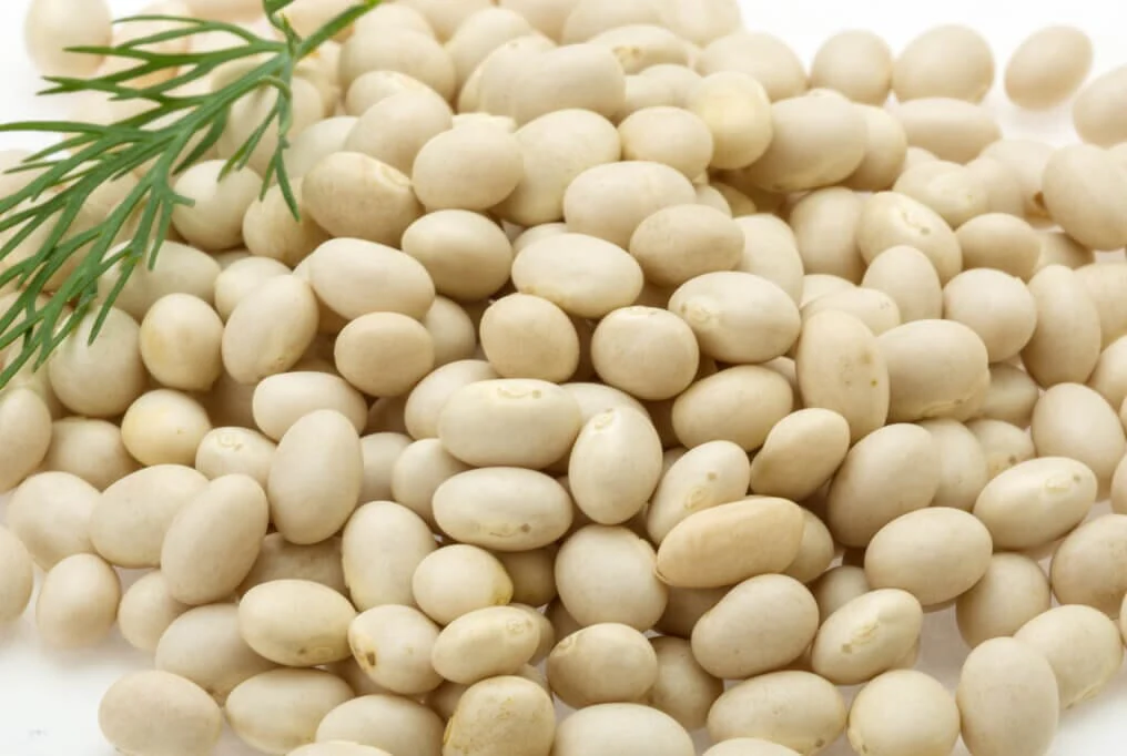 White Dixie Butterpeas